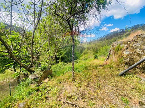 Casa Semindipendente Montale, Varese Ligure, SP Vendita - Foto 3