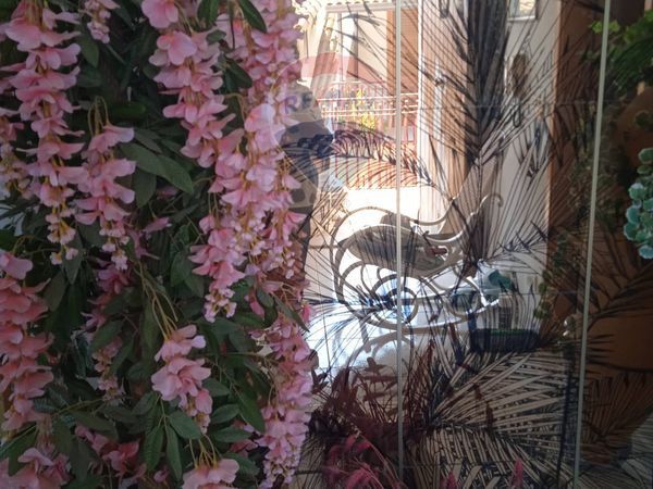 Appartamento Contrada Sillemi, Letojanni, ME Vendita - Foto 3