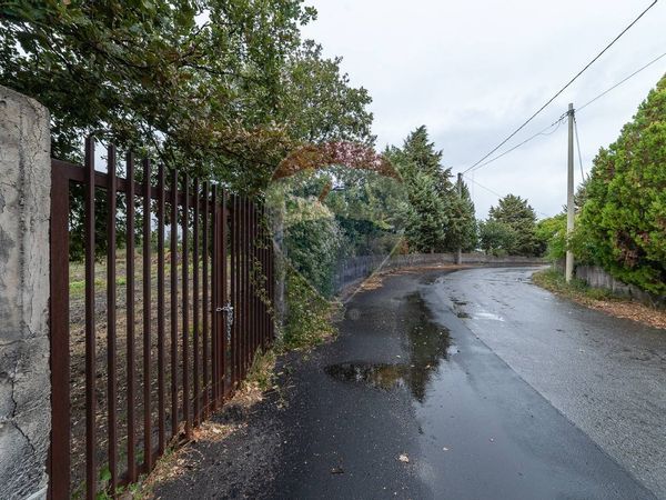 Terreno Montelaguardia, Randazzo, CT Vendita - Foto 3