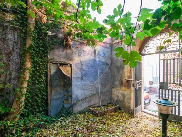 Casa Indipendente Biancavilla, CT Vendita