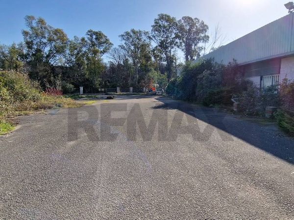 Locale Commerciale Zona Nord, Sabaudia, LT Vendita - Foto 4