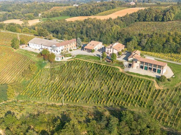 Azienda Agricola Rezzano, Carpaneto Piacentino, PC Vendita - Foto 3
