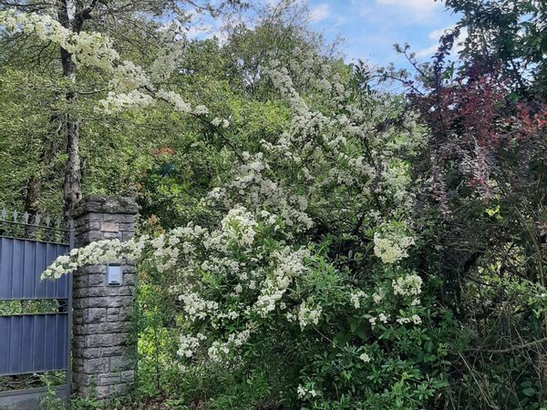 Casa Indipendente San Feliciano, Magione, PG Vendita - Foto 2