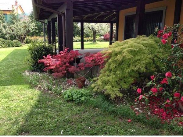 Villa o villino LIZZANO, Cesena, FC Vendita - Foto 2