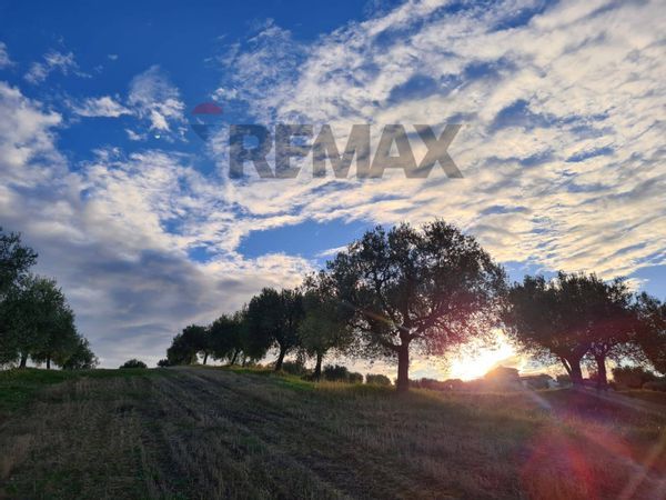 Terreno Alba Adriatica, TE Vendita - Foto 3
