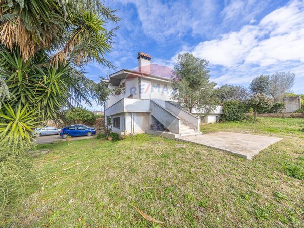 Villa singola Albano Laziale, RM Vendita - Foto 3