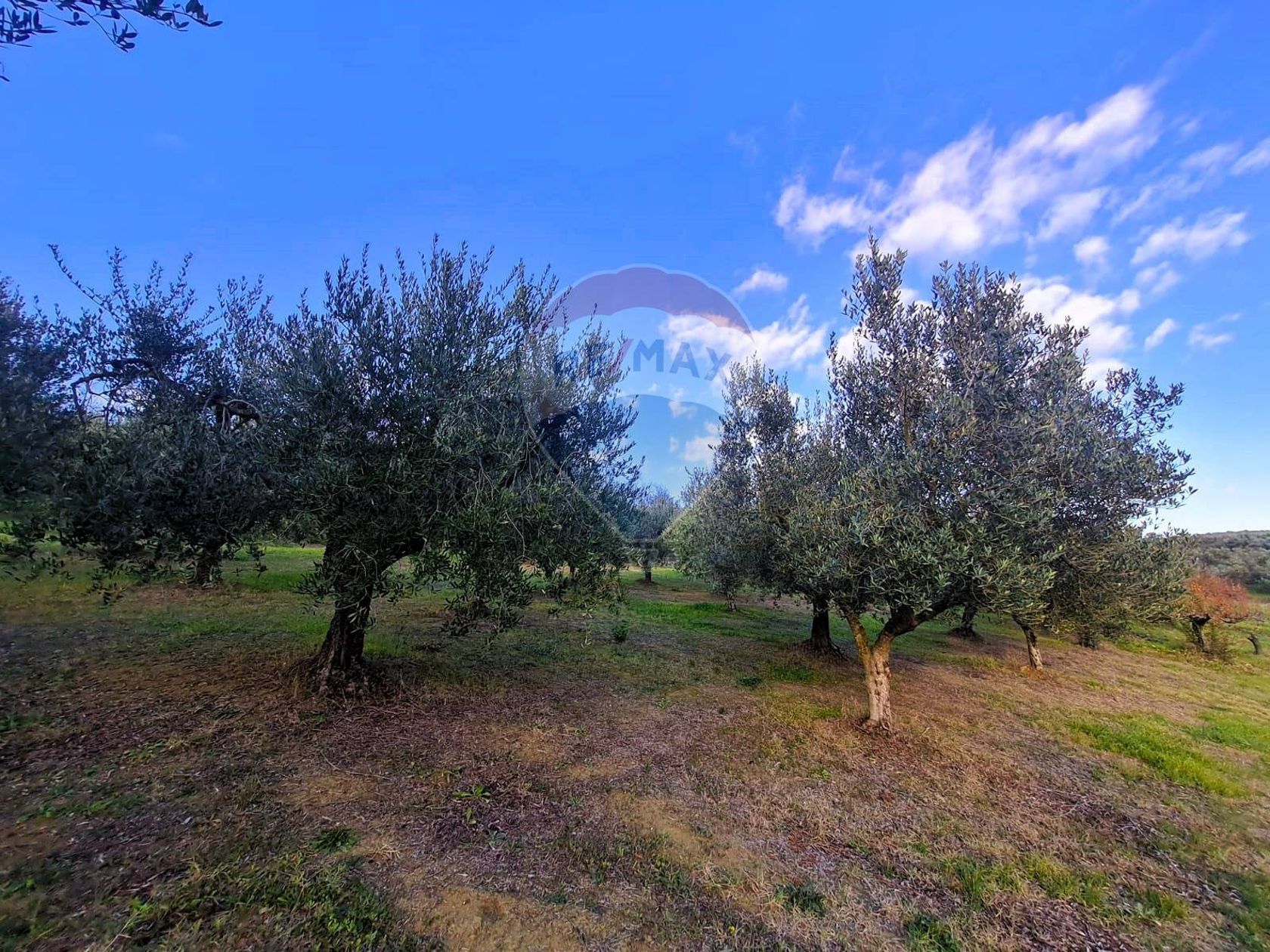Terreno Extraurbana, Francavilla al Mare, CH Vendita