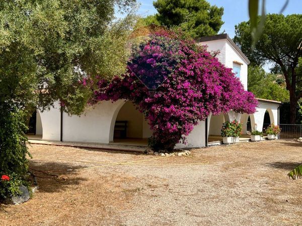 Villa singola Tertenia, NU Vendita - Foto 4