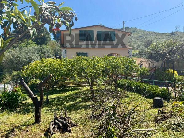 Villa o villino Montelepre, PA Vendita