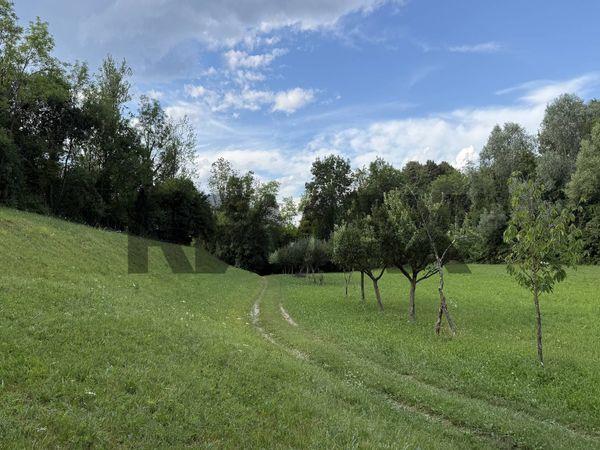 Cascina/Casale Cet, Belluno, BL Vendita - Foto 3