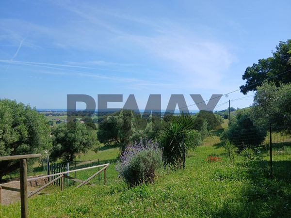 Cascina/Casale San Girio, Potenza Picena, MC Vendita - Foto 4
