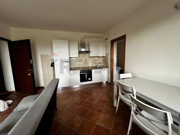 Appartamento Cona, Ferrara, FE Affitto