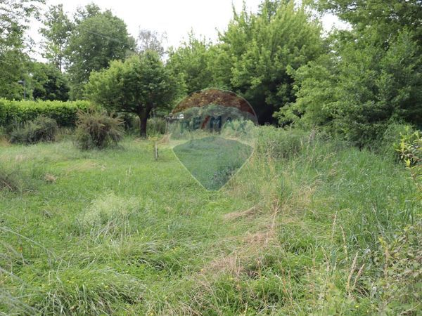 Terreno Pascolo, Molteno, LC Vendita - Foto 4