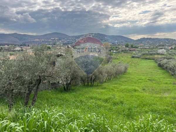 Terreno Colonna, RM Vendita