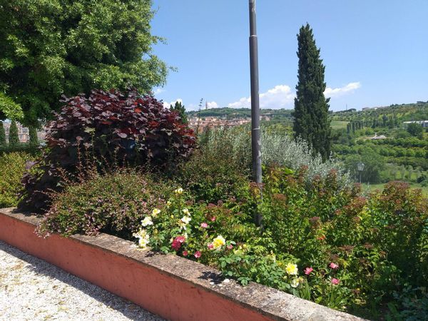 Appartamento Prepo, Perugia, PG Affitto - Foto 3