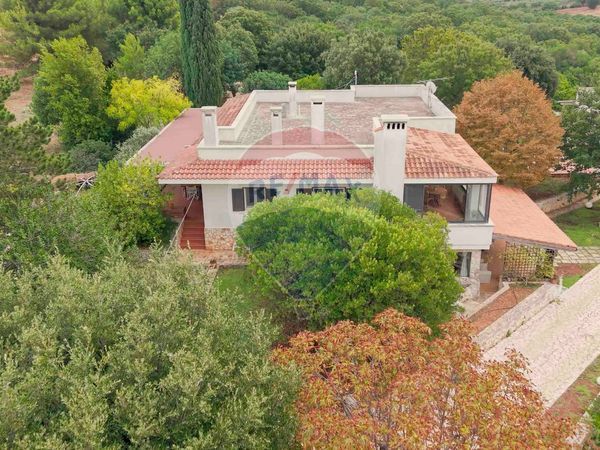 Villa o villino Monopoli, BA Vendita - Foto 2