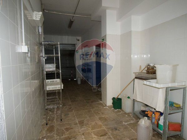 Negozio Aci San Filippo, Aci Catena, CT Affitto - Foto 4