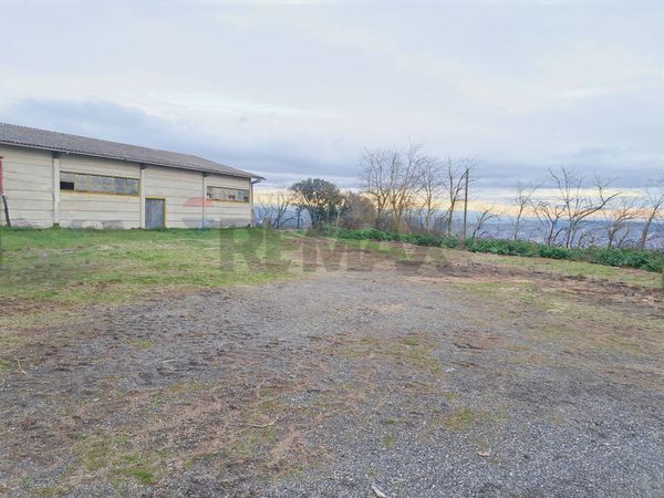 Capannone Industriale Celleno, VT Vendita