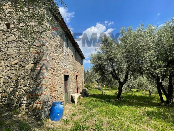 Rustico Collodi, Pescia, PT Vendita - Foto 4