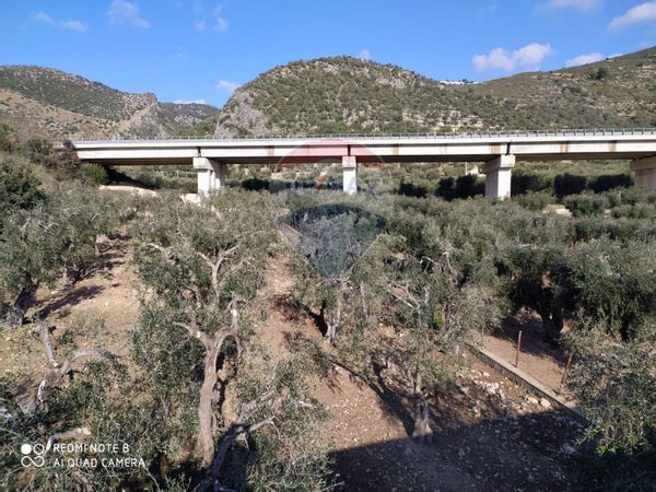 Terreno Mattinata, FG Vendita - Foto 4