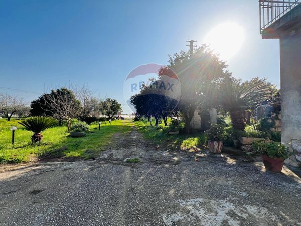 Casa Indipendente Sparanise, CE Vendita