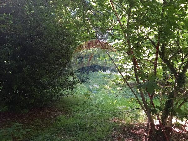 Villa singola Budrione, Carpi, MO Vendita - Foto 3