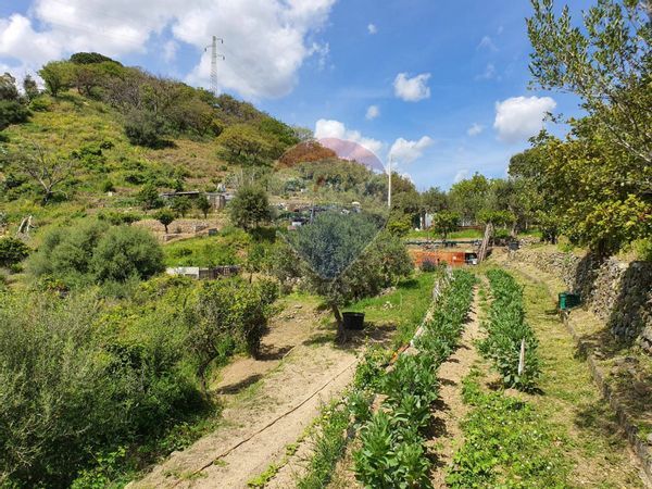 Terreno Mili Santa Margherita Giampilieri, Messina, ME Vendita - Foto 4