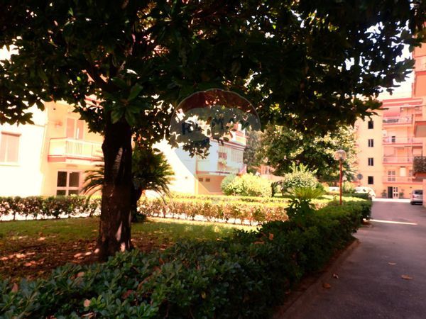 Appartamento San Nicola la Strada, CE Vendita - Foto 2