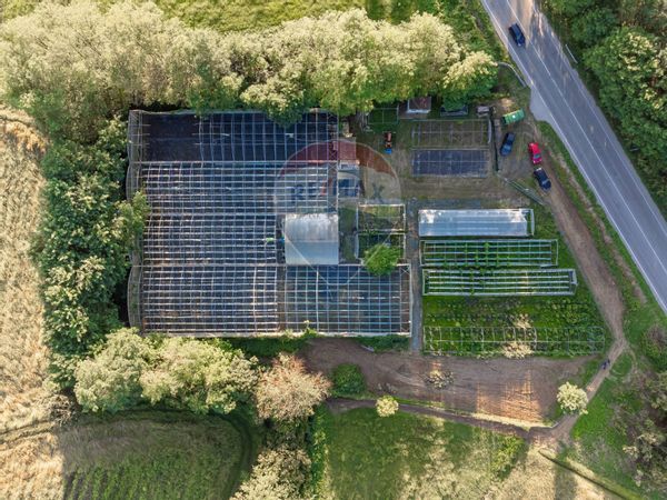 Azienda Agricola Cumiana, TO Vendita - Foto 2