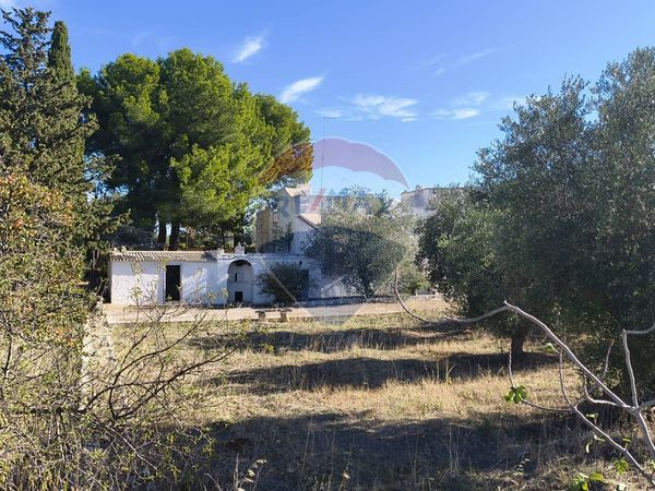 Casa Indipendente Polignano a Mare, BA Vendita - Foto 2