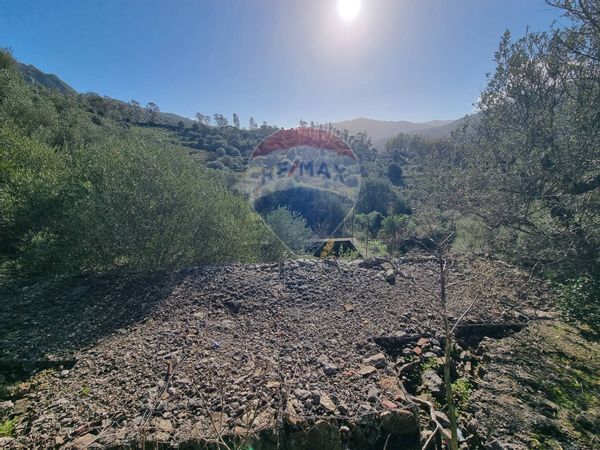 Villa o villino Scillato, PA Vendita - Foto 4