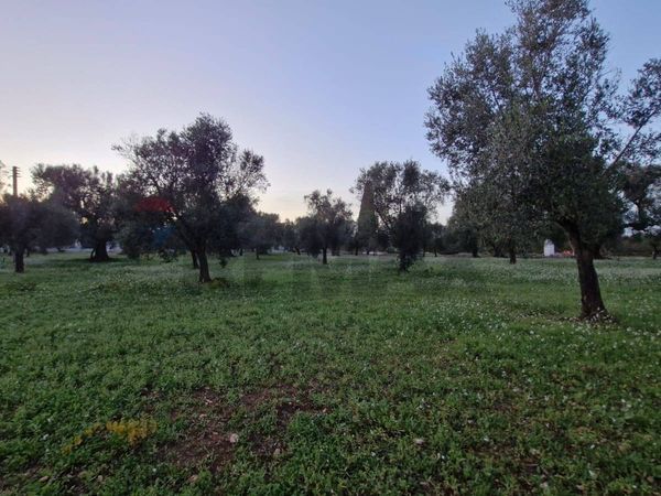 Baita/Chalet/Trullo Ceglie Messapica, BR Vendita - Foto 3