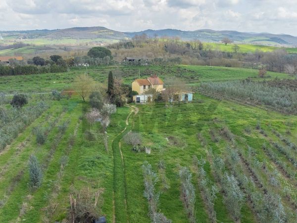 Cascina/Casale Capalbio, Capalbio, GR Vendita - Foto 2