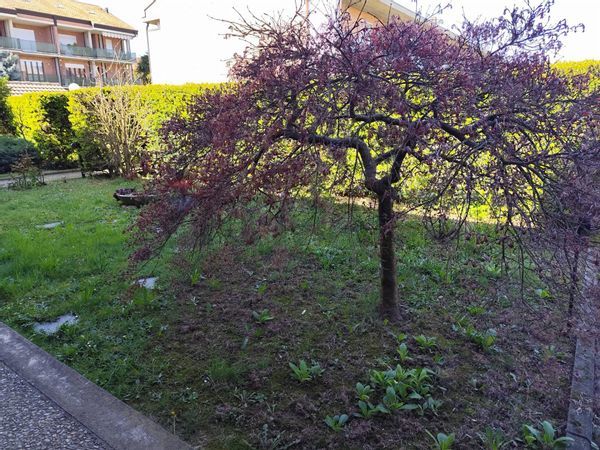 Villa a schiera Chieri, TO Vendita