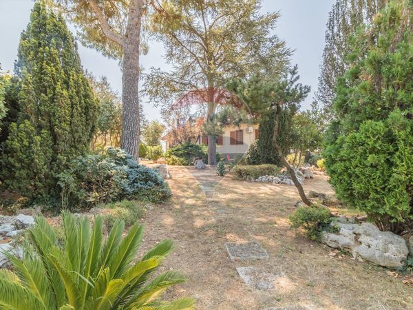 Villa singola Celleno, VT Vendita - Foto 3