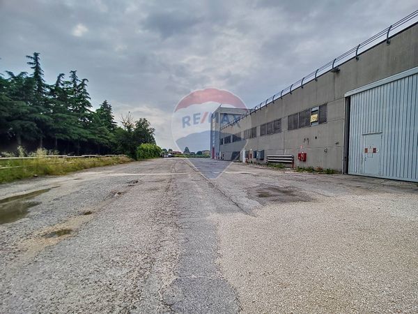 Capannone Industriale Pontelongo, PD Vendita - Foto 3