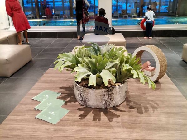 Multiproprietà Maso Corto, Senales - Schnals, BZ Vendita - Foto 4