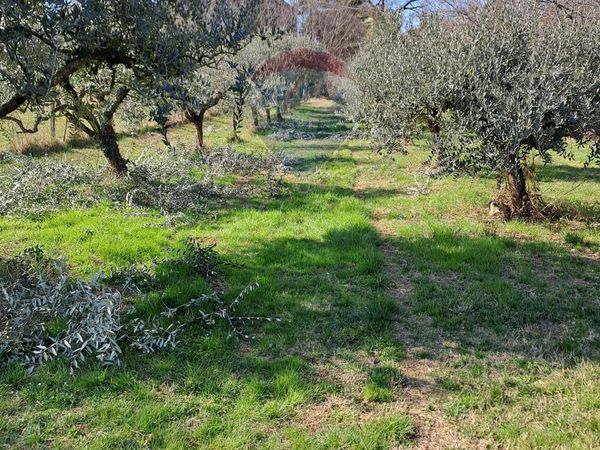 Terreno Costermano sul Garda, VR Vendita - Foto 3