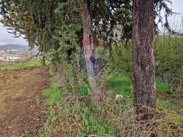 Terreno Industriale Cerchio, AQ Vendita - Foto 4