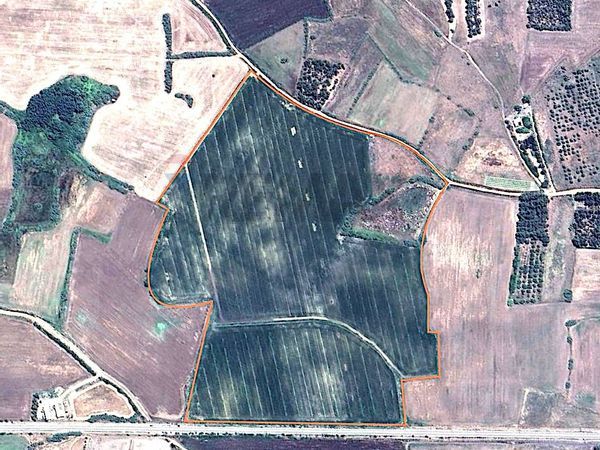 Terreno San Gavino Monreale, SU Vendita - Foto 3