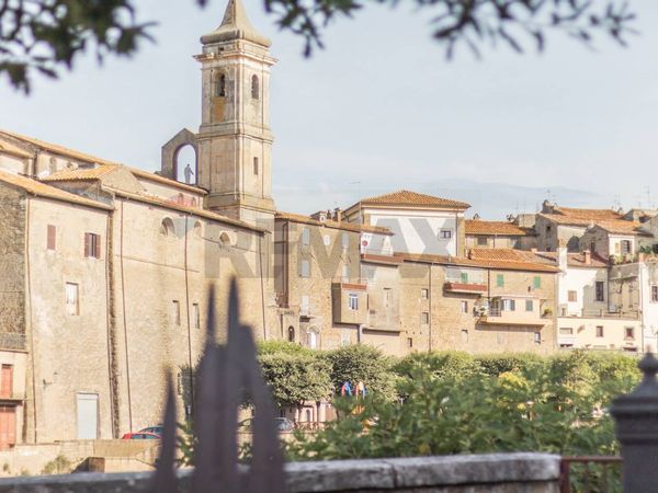 Appartamento Farnese, VT Vendita - Foto 3