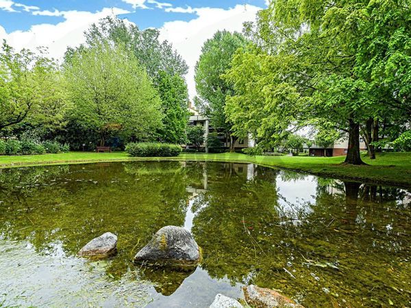 Appartamento Buccinasco, MI Affitto - Foto 2