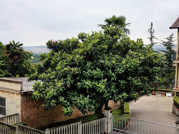 Appartamento Candia, Ancona, AN Vendita - Foto 4