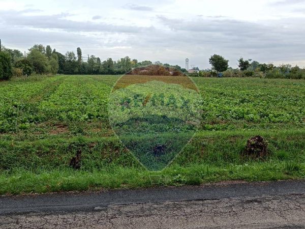 Terreno Ponzano Veneto, TV Vendita - Foto 4