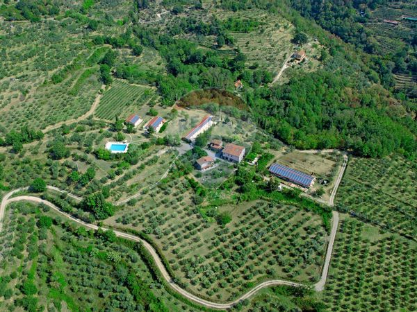 Agriturismo Pulicciano, Castelfranco Piandiscò, AR Vendita