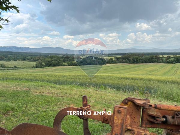 Cascina/Casale Montemassi, Roccastrada, GR Vendita - Foto 3
