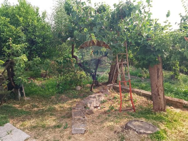 Villa singola San Martino, Sessa Aurunca, CE Vendita - Foto 4