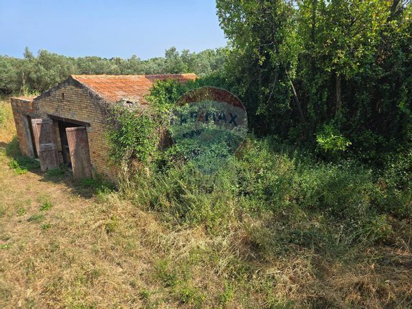 Cascina/Casale Casalbordino, CH Vendita - Foto 2