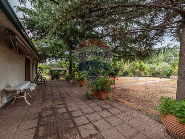 Casa Indipendente Montelaguardia, Randazzo, CT Vendita - Foto 3