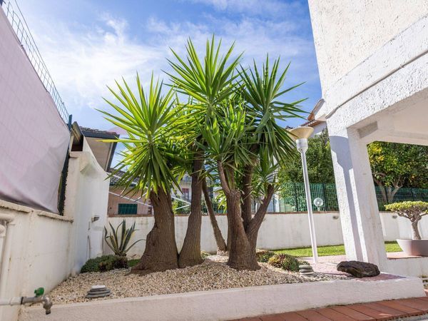 Villa singola Viagrande, CT Vendita - Foto 4